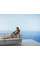 Масажер NAIPO oCuddle Plus Shiatsu Rechargeable Massager для плечей та шиї з вібрацією та додатковою функцією масажу Шиатцу oCuddle-P1